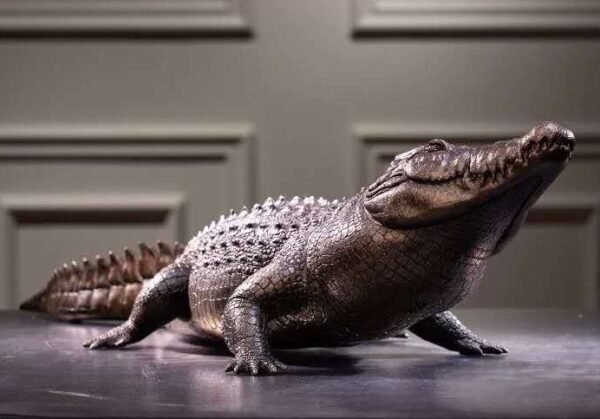 The Bronze Crocodile – Handcrafted Solid Brass Sculpture, “The Silent Hunter,” Museum-Quality Casting, Desk & Study Accent