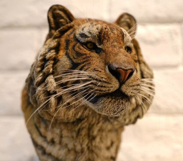 Siberian Tiger – Handcrafted GK Statue, “King of the Northern Forest,” Museum-Quality Hand-Painted Finish, Realistic Whisker Implantation