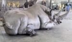 The Resting Rhino – Handcrafted Monumental Solid Brass Sculpture, “The Earth’s Armor,” Life-Size Museum-Quality Wildlife Art