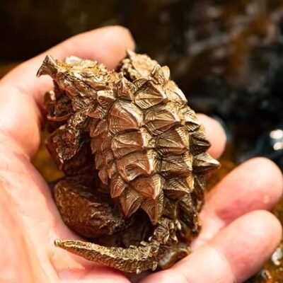 The Alligator Snapping Turtle – Handcrafted Solid Bronze Miniature Sculpture