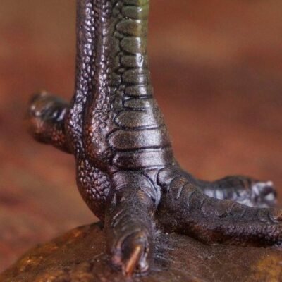 O1CN0148TJv21uqoiHherQR_!!14496089222