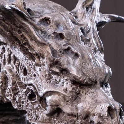 Seeking the Dragon – Handcrafted Silicon Bronze Dragon Skull Sculpture