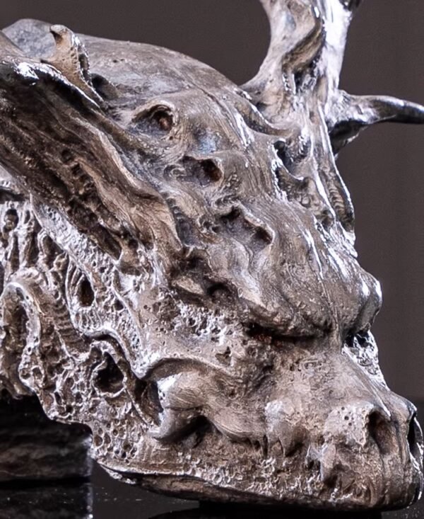 Seeking the Dragon – Handcrafted Silicon Bronze Dragon Skull Sculpture