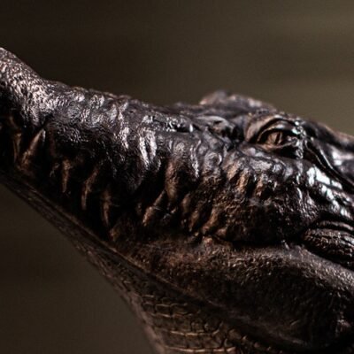 O1CN015Nxq3E1LzVhxfBD8q_!!1861801370