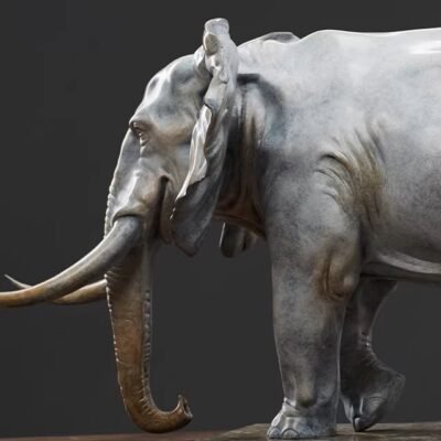 O1CN01DlU8tm1LzVMY3aksi_!!1861801370