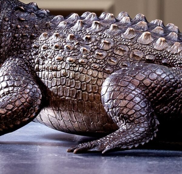 The Bronze Crocodile – Handcrafted Solid Brass Sculpture, “The Silent Hunter,” Museum-Quality Casting, Desk & Study Accent