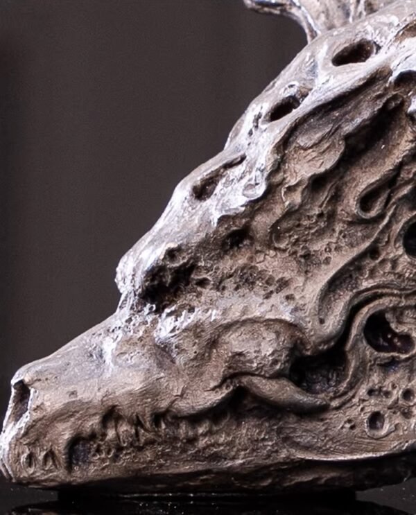 Seeking the Dragon – Handcrafted Silicon Bronze Dragon Skull Sculpture