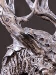 Seeking the Dragon – Handcrafted Silicon Bronze Dragon Skull Sculpture