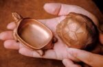 The Aldabra Tortoise Storage Box – Handcrafted Solid Brass or Copper Sculptural Container