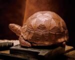 The Aldabra Tortoise Storage Box – Handcrafted Solid Brass or Copper Sculptural Container