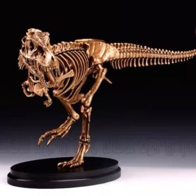 Tyrannosaurus Rex Skeleton – Handcrafted Solid Bronze Fossil Sculpture