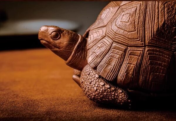 The Aldabra Tortoise Storage Box – Handcrafted Solid Brass or Copper Sculptural Container