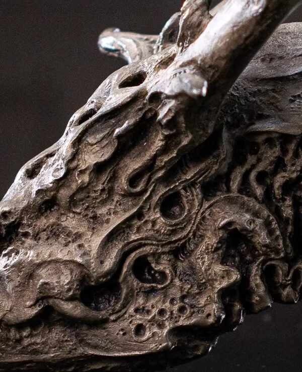 Seeking the Dragon – Handcrafted Silicon Bronze Dragon Skull Sculpture