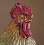 “Great Fortune, Great Rooster” – Handcrafted Solid Brass Sculpture, “The Five Virtues,” Auspicious Symbol of Prosperity & Integrity, Museum-Quality Casting