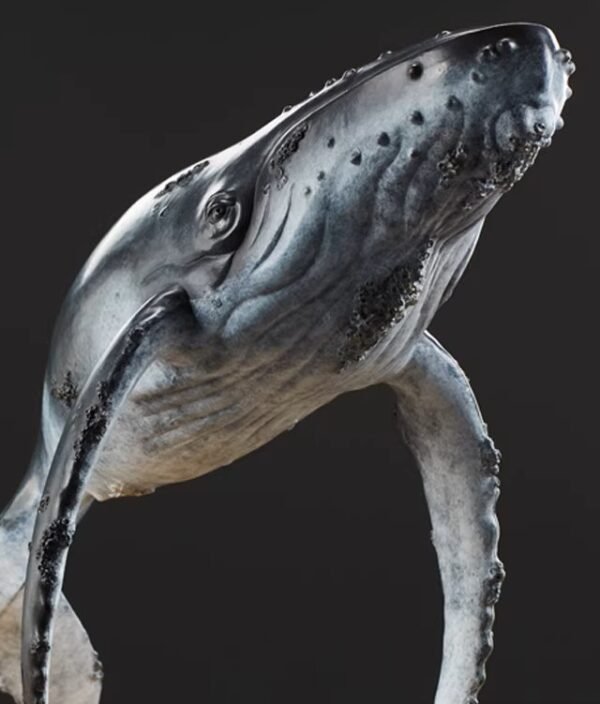 "Deep Blue" – Handcrafted Solid Bronze Humpback Whale Sculpture