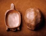 The Aldabra Tortoise Storage Box – Handcrafted Solid Brass or Copper Sculptural Container