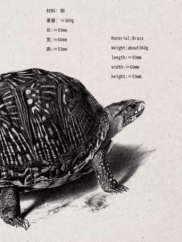 The Aldabra Tortoise Storage Box – Handcrafted Solid Brass or Copper Sculptural Container