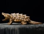 The Alligator Snapping Turtle – Handcrafted Solid Bronze Sculpture, “The Ancient Angler,” Pocket-Sized Prehistoric Predator