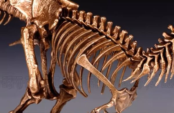 Tyrannosaurus Rex Skeleton – Handcrafted Solid Bronze Fossil Sculpture
