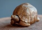 The Aldabra Tortoise Storage Box – Handcrafted Solid Brass or Copper Sculptural Container