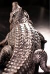 The Bronze Crocodile – Handcrafted Solid Brass Sculpture, “The Silent Hunter,” Museum-Quality Casting, Desk & Study Accent