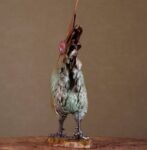 “Great Fortune, Great Rooster” – Handcrafted Solid Brass Sculpture, “The Five Virtues,” Auspicious Symbol of Prosperity & Integrity, Museum-Quality Casting