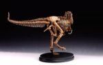 Tyrannosaurus Rex Skeleton – Handcrafted Solid Bronze Fossil Sculpture