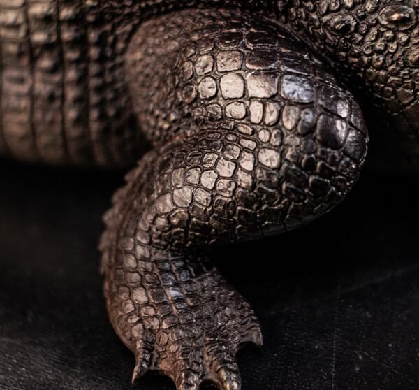 The Bronze Crocodile – Handcrafted Solid Brass Sculpture, “The Silent Hunter,” Museum-Quality Casting, Desk & Study Accent