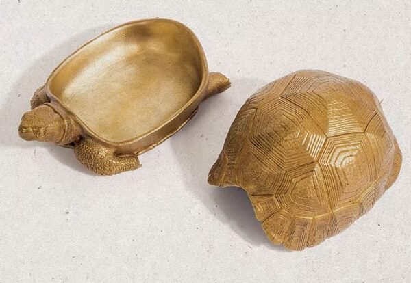 The Aldabra Tortoise Storage Box – Handcrafted Solid Brass or Copper Sculptural Container
