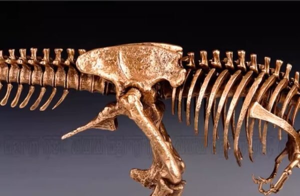 Tyrannosaurus Rex Skeleton – Handcrafted Solid Bronze Fossil Sculpture