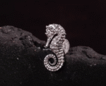 The Hippocampus Ear Studs – Handcrafted Sterling Silver Miniature Sculptures