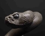 The Coiled Rattlesnake – Handcrafted Solid Brass Sculpture, “The Silent Guardian,” Symbol of Wisdom & Renewal
