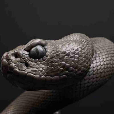 b8d6dfee82cfb7c716447b6c3f9feef5