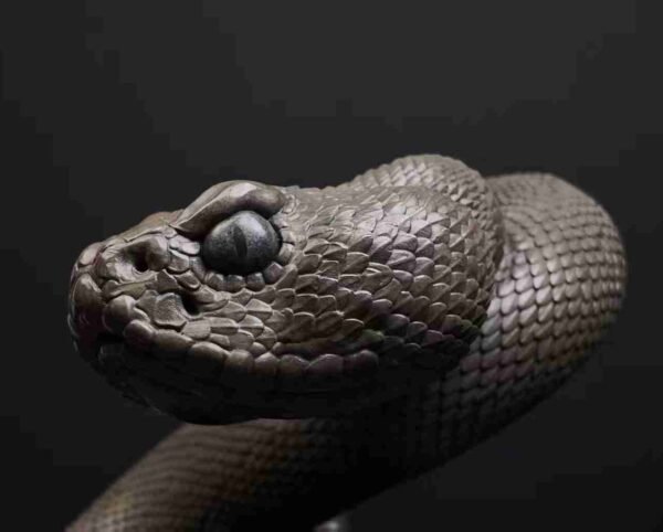 The Coiled Rattlesnake – Handcrafted Solid Brass Sculpture, “The Silent Guardian,” Symbol of Wisdom & Renewal
