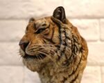 Siberian Tiger – Handcrafted GK Statue, “King of the Northern Forest,” Museum-Quality Hand-Painted Finish, Realistic Whisker Implantation