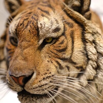 Siberian Tiger – Handcrafted GK Statue, “King of the Northern Forest,” Museum-Quality Hand-Painted Finish, Realistic Whisker Implantation