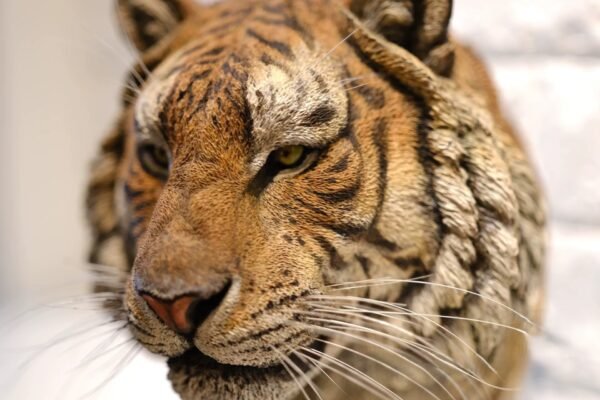 Siberian Tiger – Handcrafted GK Statue, “King of the Northern Forest,” Museum-Quality Hand-Painted Finish, Realistic Whisker Implantation