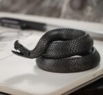 The Rattlesnake Pen Holder – Handcrafted Solid Brass Desk Sculpture, “Extraordinary”