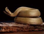 The Rattlesnake Pen Holder – Handcrafted Solid Brass Desk Sculpture, “Extraordinary”