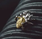 The Spider Earrings – Handcrafted Sterling Silver with Gold Accent, “Threads of Fate,”