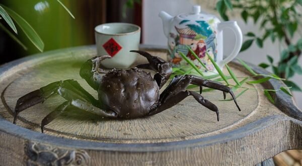 Life‑Size Brass Crab – Handcrafted Solid Brass Sculpture, “The Coastal Guardian”, Realistic Desktop Decor, Tea Pet & Gift