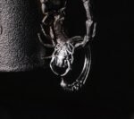 The Scorpion Tail Ring – Handcrafted 925 Sterling Silver, “Thorns Out, Softness In,” Adjustable Unisex Band