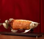 Golden Arowana – Handcrafted Solid Brass Sculpture, “The Dragon of Prosperity”