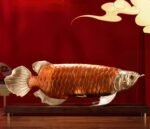 Golden Arowana – Handcrafted Solid Brass Sculpture, “The Dragon of Prosperity”