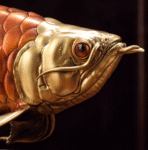 Golden Arowana – Handcrafted Solid Brass Sculpture, “The Dragon of Prosperity”