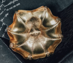 The Octopus Plate – Handcrafted Solid Bronze Multifunctional Tray, “Open Arms, Open Heart”