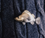 The Fish Brooch – Handcrafted Solid Brass & White Copper, “Auspicious Emblem”
