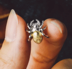 The Spider Earrings – Handcrafted Sterling Silver with Gold Accent, “Threads of Fate,”