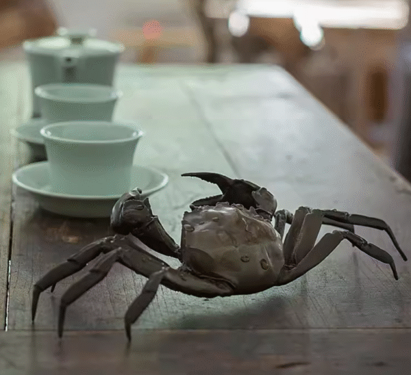 Life‑Size Brass Crab – Handcrafted Solid Brass Sculpture, “The Coastal Guardian”, Realistic Desktop Decor, Tea Pet & Gift