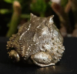 Chubby Horned Frog – Handcrafted Solid Brass Sculpture, “The Wealthy Hopper”, Desk Companion & Palm Worry Stone